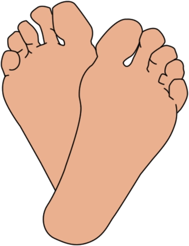 Peggys Feet - Les Pieds de Paulette Hill