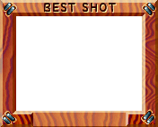 Best Shot Stamp