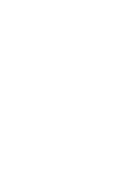 Slaizen Logo