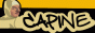 www.capine.net