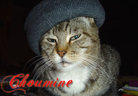 Choumine